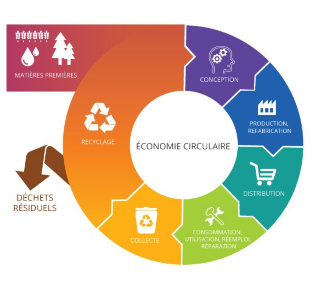découvrez comment les matières premières jouent un rôle essentiel dans l'économie circulaire, favorisant durabilité et efficacité. explorez des solutions innovantes pour optimiser l'utilisation des ressources et réduire le gaspillage.