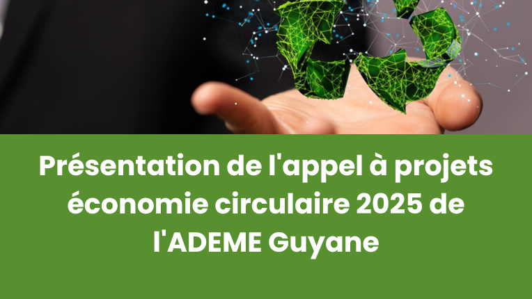 découvrez comment les projets d'économie circulaire transforment notre façon de consommer et de produire, en favorisant la durabilité et la réduction des déchets. explorez des initiatives innovantes qui stimulent un avenir plus vert et responsable.