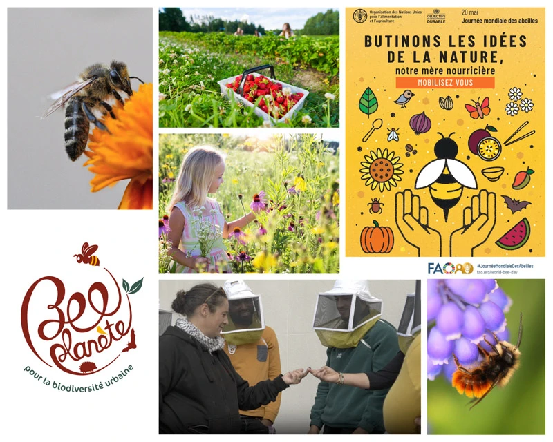 découvrez l'importance des abeilles dans l'agriculture durable. apprenez comment ces pollinisateurs essentiels contribuent à la biodiversité et à la production alimentaire tout en préservant l'environnement.