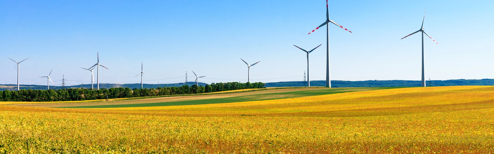 découvrez comment l'agriculture durable contribue à la lutte contre le changement climatique. explorez des pratiques et des solutions innovantes qui protègent notre planète tout en garantissant une production alimentaire responsable et écoresponsable.