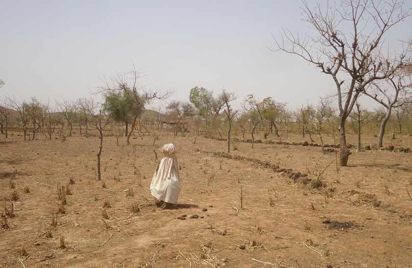 découvrez l'impact du changement climatique sur l'agriculture et explorez des pratiques durables pour préserver notre planète tout en garantissant la sécurité alimentaire. analyse des enjeux actuels et des solutions innovantes pour un avenir agricole résilient.