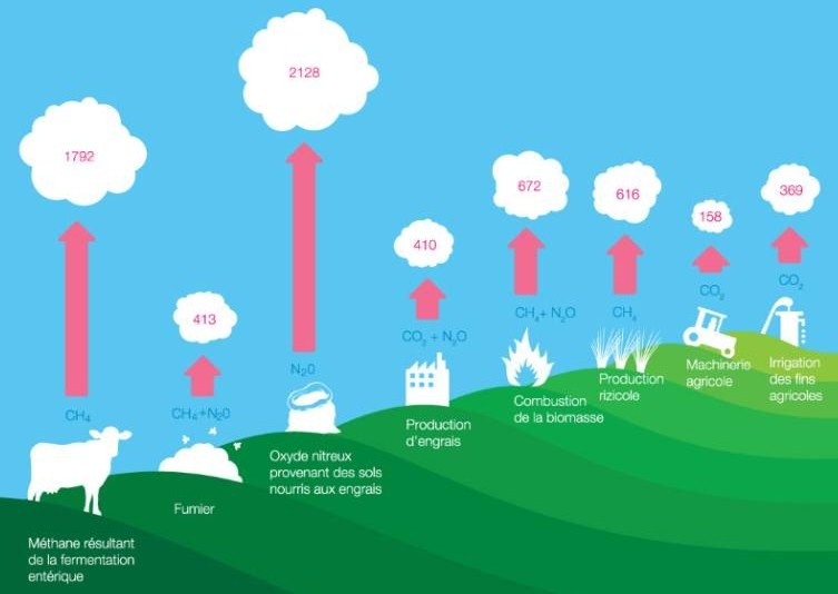 découvrez comment l'agriculture impacte le climat et vice versa. explorez les stratégies durables pour réduire l'empreinte carbone du secteur agricole et garantir la sécurité alimentaire face aux défis climatiques.