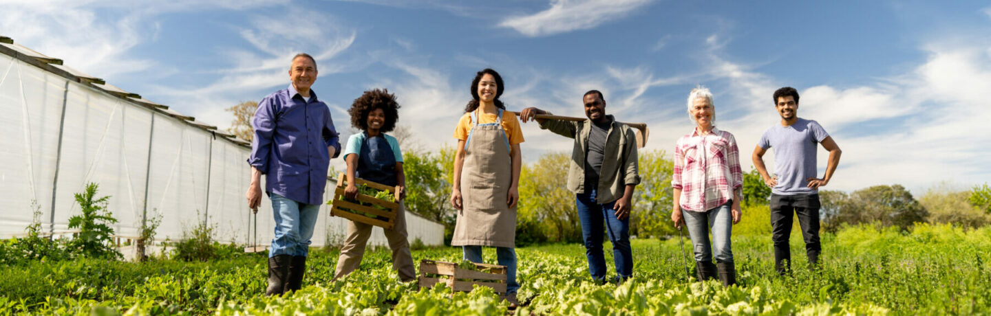 découvrez comment l'agriculture se transforme avec la transition énergétique, en intégrant des pratiques durables et innovantes pour un avenir plus vert. explorez les synergies entre l'agriculture moderne et les énergies renouvelables.