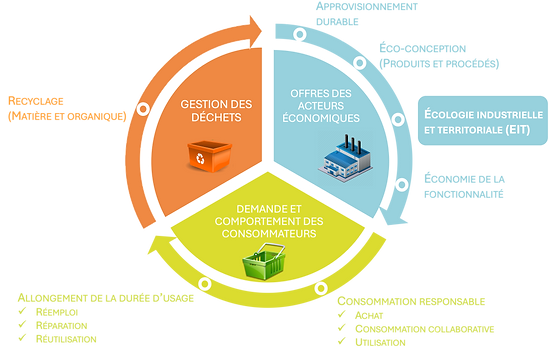 découvrez comment les comportements individuels et collectifs influencent l'économie circulaire. explorez les stratégies pour adopter des pratiques durables et responsables, visant à réduire le gaspillage et à promouvoir la réutilisation des ressources, tout en préservant notre environnement.