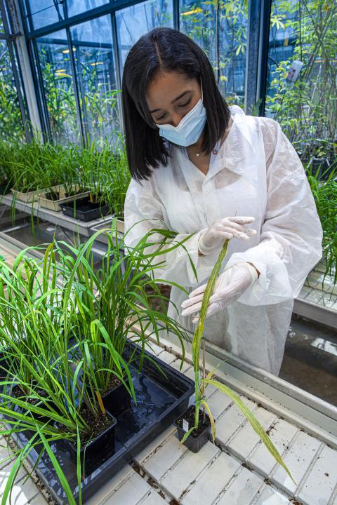 découvrez les meilleures pratiques pour un contrôle efficace des serres, garantissant des conditions optimales pour la croissance des plantes et maximisant vos récoltes. apprenez à gérer la température, l'humidité et la ventilation pour un jardinage réussi.