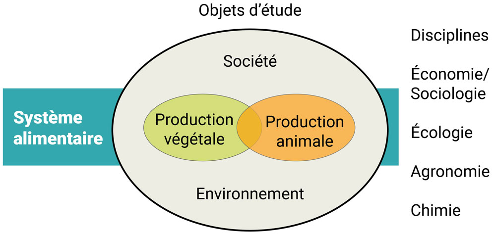 découvrez l'élevage écologique, une pratique durable qui respecte le bien-être animal et préserve l'environnement. apprenez les méthodes innovantes pour promouvoir une agriculture responsable tout en garantissant des produits sains et savoureux.