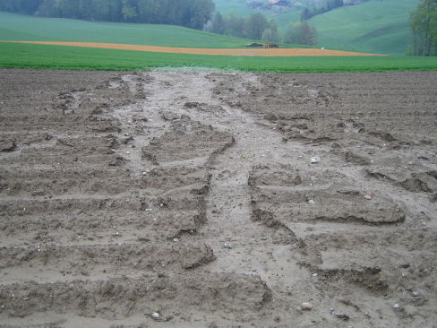 découvrez les enjeux de l'érosion des sols en agriculture, ses causes, ses conséquences sur la productivité des cultures et des solutions durables pour préserver la santé des terres agricoles. informez-vous sur les pratiques agronomiques pour lutter contre cette problématique majeure.