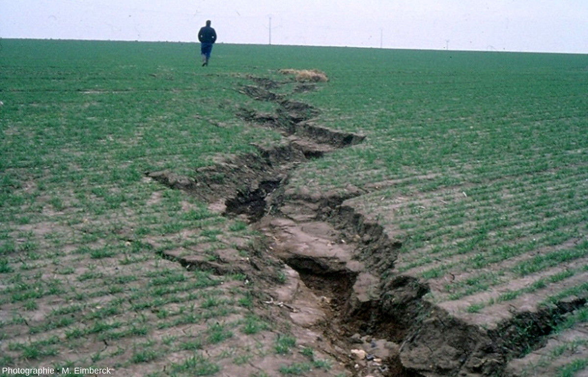 découvrez les enjeux de l'érosion des sols en agriculture, ses causes, ses conséquences sur la productivité et les solutions durable pour préserver nos terres agricoles. apprenez comment protéger l'environnement et optimiser les pratiques agricoles.