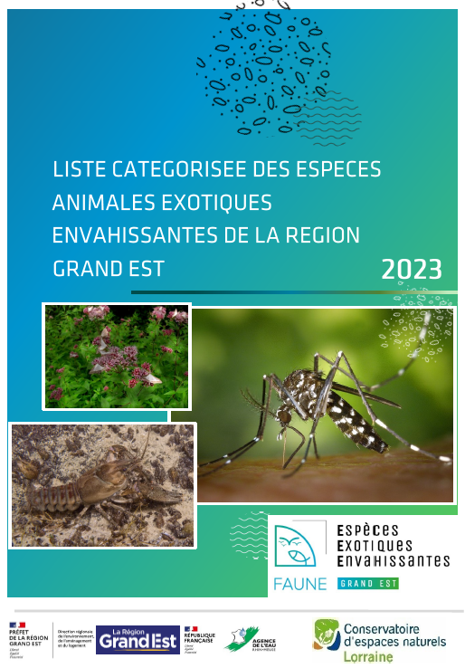 découvrez les enjeux majeurs liés aux espèces envahissantes : leur impact sur la biodiversité, l'économie et la santé humaine. explorez des stratégies de prévention et de contrôle pour protéger nos écosystèmes et favoriser la conservation de la faune et de la flore.