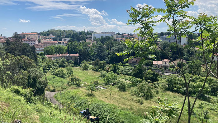 découvrez les fermes urbaines, des espaces innovants qui allient agriculture durable et vie citadine. apprenez comment ces projets contribuent à l'alimentation locale, la biodiversité et la réduction de l'empreinte carbone tout en renforçant la communauté.