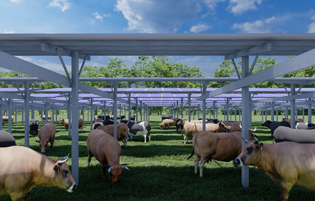 découvrez les opportunités d'investissement dans les fermes solaires, une solution durable et rentable pour générer de l'énergie propre tout en contribuant à la transition énergétique. investissez dès aujourd'hui dans l'avenir de l'énergies renouvelables.