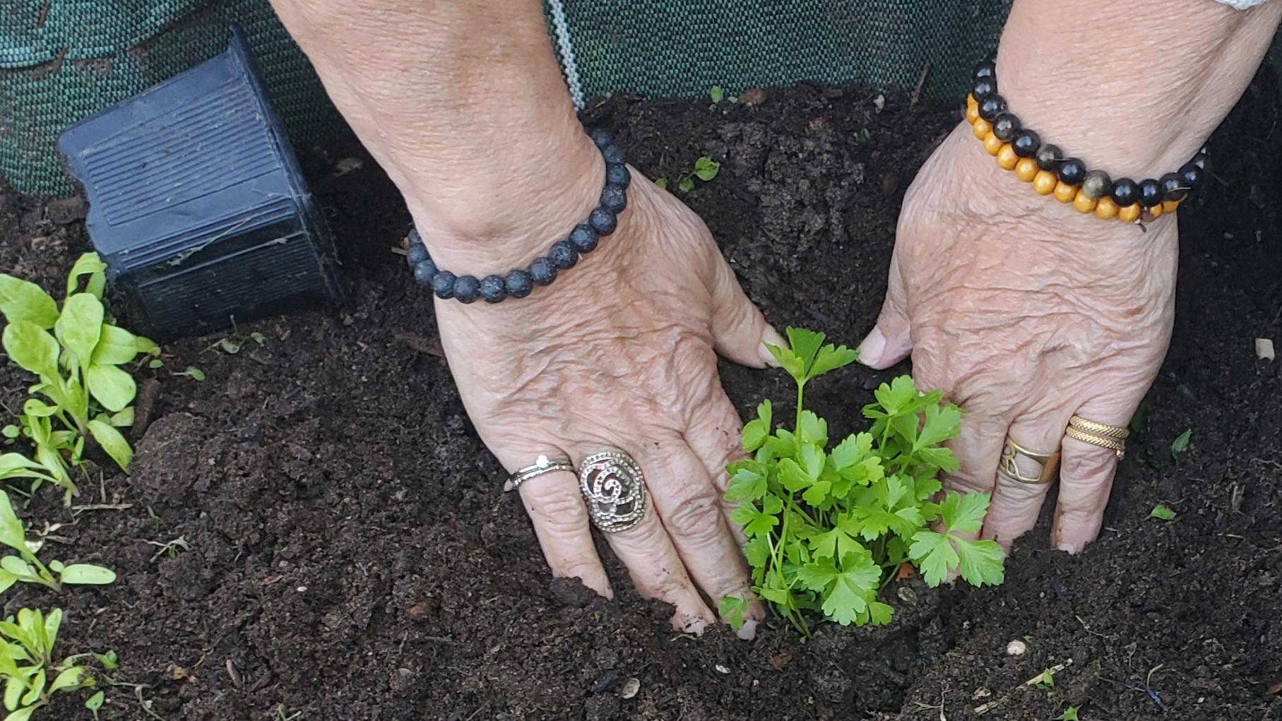 découvrez l'univers du jardinage écologique : des astuces pratiques pour cultiver un jardin durable, respecter la biodiversité et favoriser la santé de votre sol tout en préservant l'environnement.