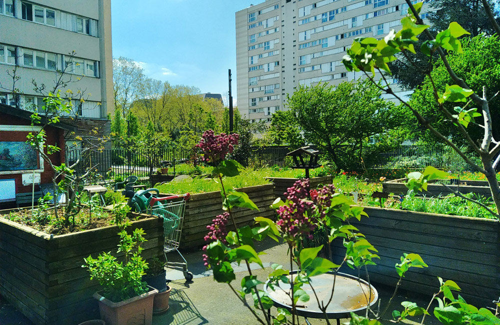 découvrez les jardins communautaires, des espaces verts partagés qui favorisent le lien social, la biodiversité et la production locale. participez à des activités de jardinage collaboratif et apprenez des pratiques durables tout en profitant d'un cadre naturel inspirant.