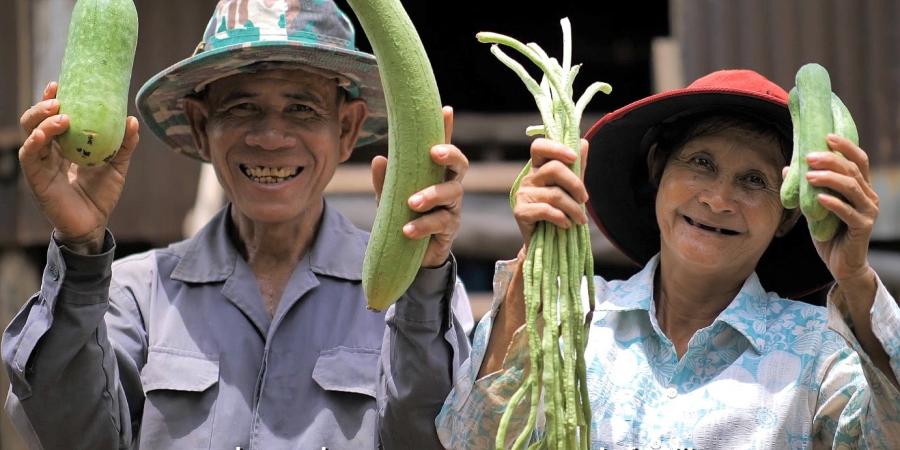 découvrez comment les ong s'engagent pour promouvoir une agriculture durable, favorisant des pratiques respectueuses de l'environnement et soutenant les communautés rurales. explorez les initiatives innovantes et les collaborations entre acteurs du terrain pour un avenir agricole plus vert.