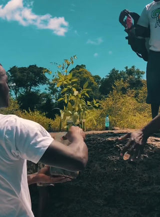 découvrez comment les ong contribuent à l'innovation écologique en mettant en œuvre des solutions durables et en sensibilisant le public aux enjeux environnementaux. explorez des initiatives innovantes qui préservent notre planète.