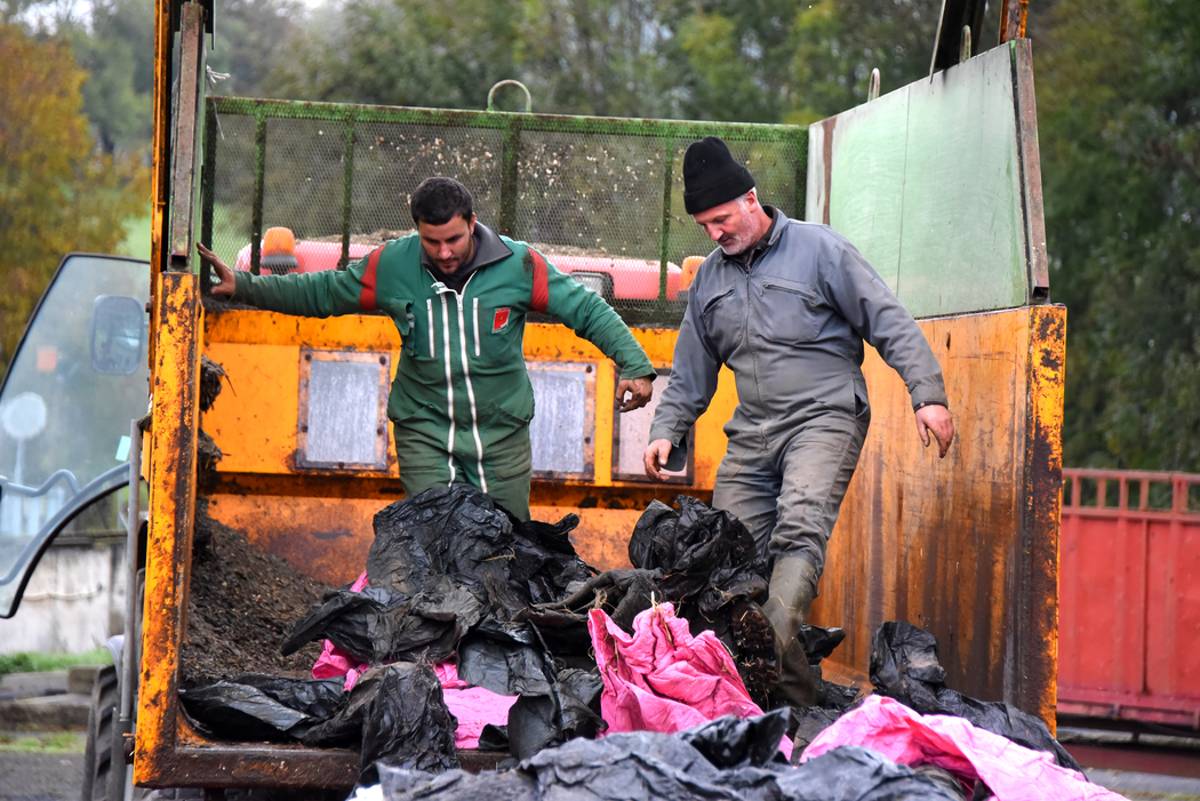 découvrez les pratiques innovantes du recyclage agricole qui permettent de réduire les déchets, d'optimiser l'utilisation des ressources et de promouvoir une agriculture durable. explorez comment ces initiatives contribuent à la protection de l'environnement et à la rentabilité des exploitations agricoles.