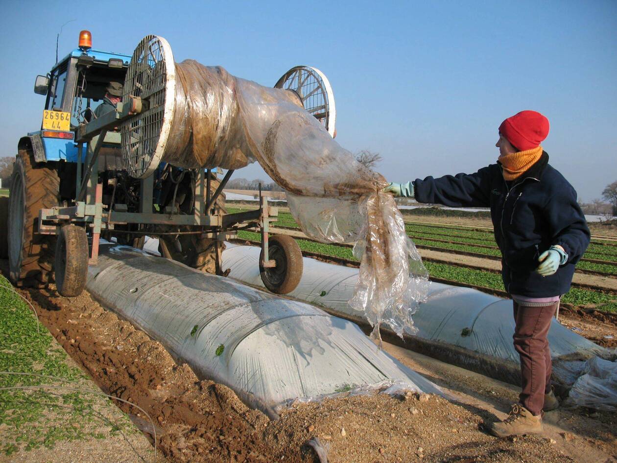 découvrez les pratiques innovantes et durables du recyclage agricole, qui contribuent à la protection de l'environnement tout en optimisant la productivité des exploitations. apprenez comment les agriculteurs intègrent le recyclage dans leurs méthodes de culture et les avantages écologiques et économiques qui en découlent.