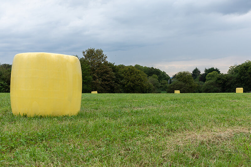 découvrez le recyclage agricole, une pratique innovante qui transforme les déchets agricoles en ressources précieuses, contribuant à une agriculture durable et respectueuse de l'environnement.