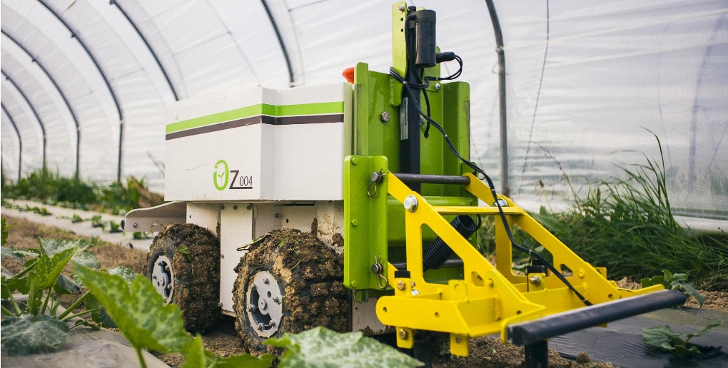 découvrez les dernières tendances agri-tech qui révolutionnent l'agriculture moderne. explorez les innovations technologiques, les outils numériques et les pratiques durables qui transforment le secteur agroalimentaire et améliorent la productivité.