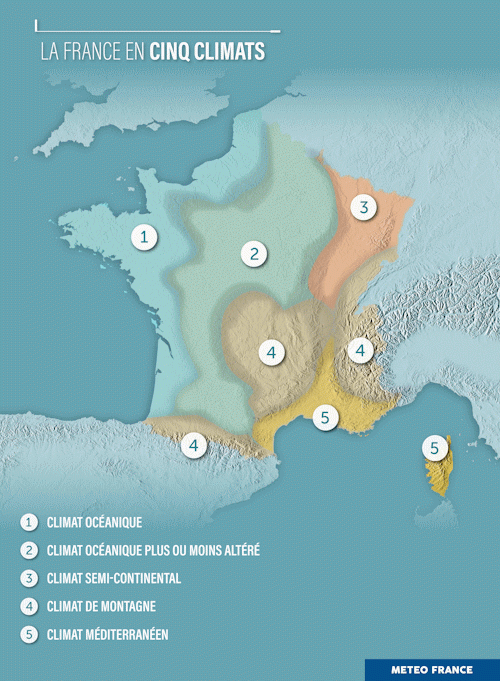 découvrez les différentes variétés climatiques qui influencent notre environnement et nos écosystèmes. apprenez comment ces variations affectent le climat local et global, ainsi que leur impact sur la biodiversité et la vie quotidienne.