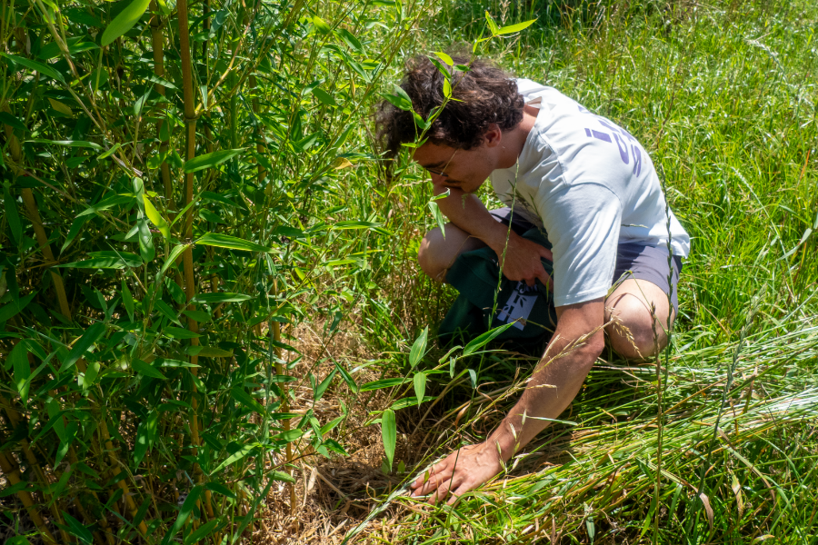 découvrez comment les agriculteurs diversifient leurs cultures pour relever les défis agricoles actuels et assurer la durabilité de leurs exploitations.